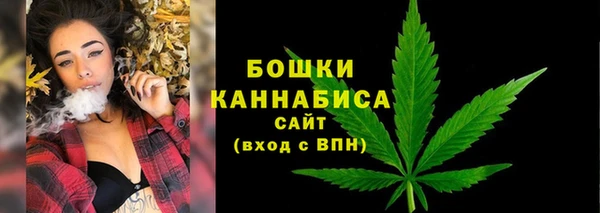 mdpv Краснослободск
