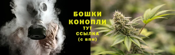 mdpv Краснослободск
