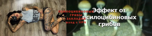 mdpv Краснослободск