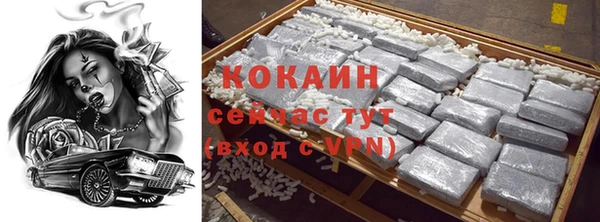 mdpv Краснослободск