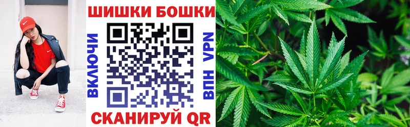 Купить  Боготол  Марихуана сатива 
